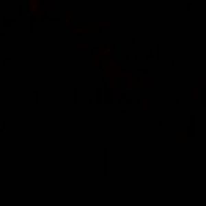 Meet your Posher, Ricki